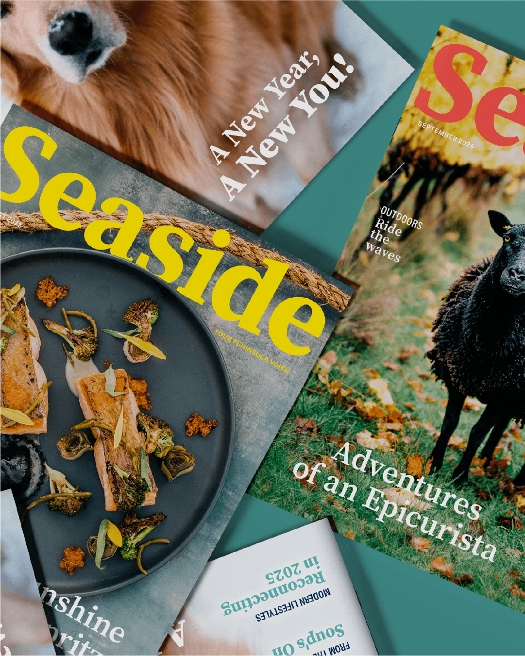 mbrand-portfolio-seaside-magazine-10