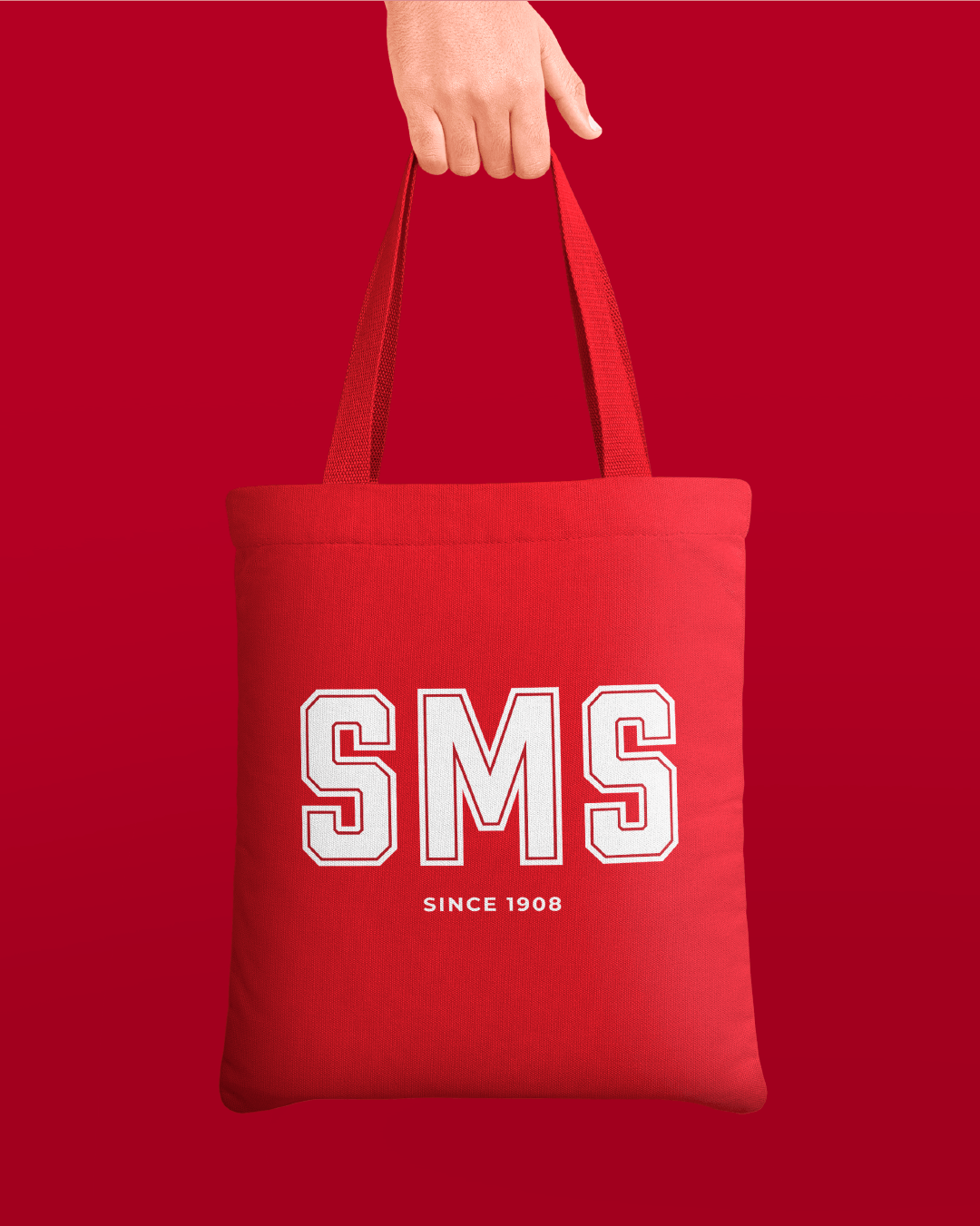 project-sms-img 12