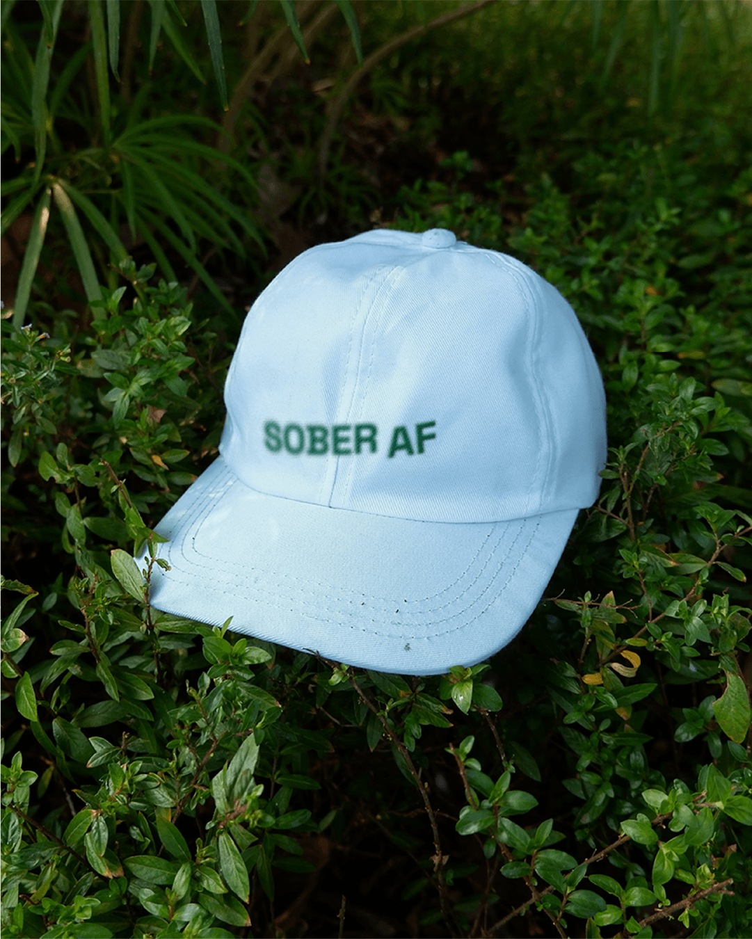 project-soberfest-img 3